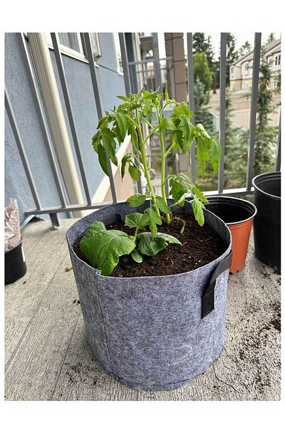 RevuBaby Felt Vegetable Plant Grow Pot Plant Growing Basket 40X35Cm