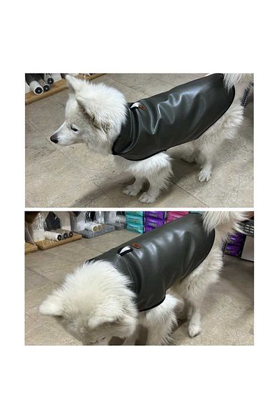 PRİZE Neo Pet Market Socket Dog Inner Fleece Raincoat Size 8 Green-Size Chart is in the Description Part