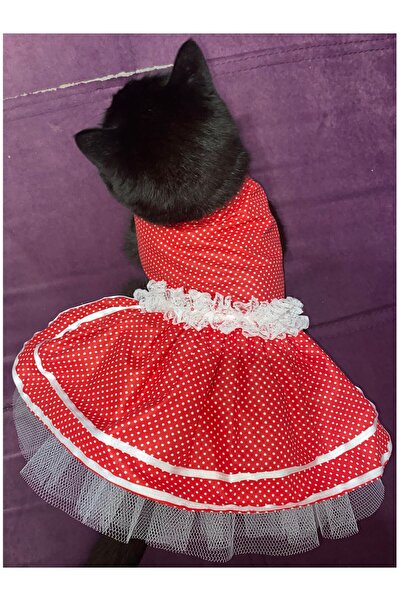 Gobo Beyaz Puantiyeli Kurdeleli Kırmızı Dişi Kedi Köpek Kıyafeti Elbisesi Sma...