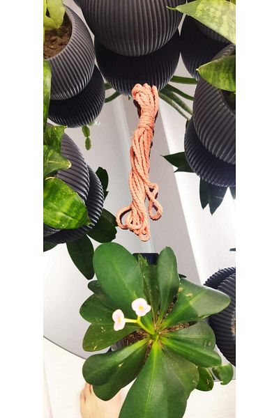 Bevella Macrame Cord Μακραμέ 3 Βοτρυλωτό 10 Μέτρα (3 mm)