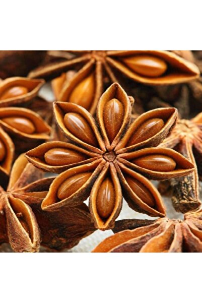 AKTARCINIZ Yıldız Anason 50 gr