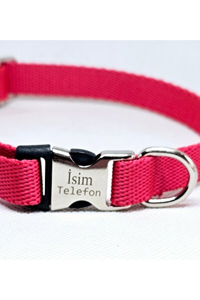 hebmeyy Köpek tasması, kişiye özel köpek tasması, kedi, mini ırk ve küçük ırk köpek boyun tasması