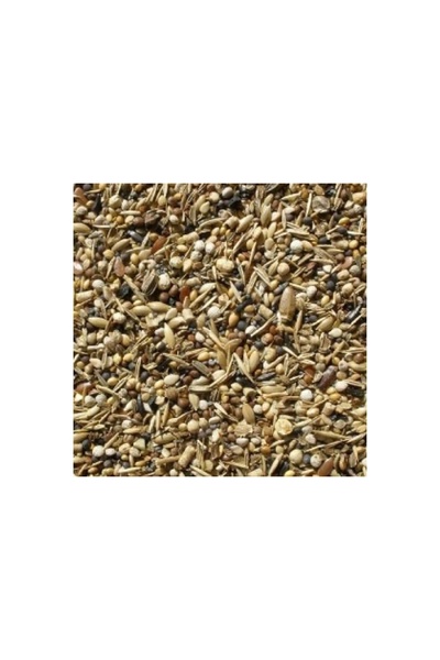 Badem Akvaryum Sağlık Tohumu Kuş Yemi Yabani Sağlık Yohumu 250 gr