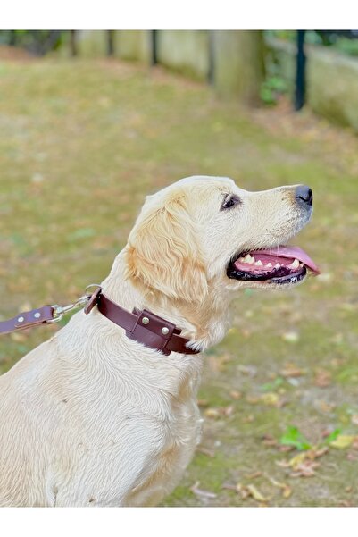 TB Leather Airtag Kılıfı - Gerçek Deri Köpek Tasması Için Airtag Kılıfı