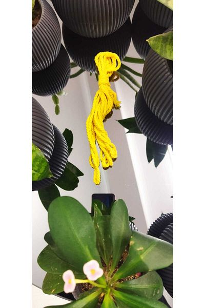 Bevella Macrame Cord Macrame 3 Twist Twisted 10 Meters (3 mm)