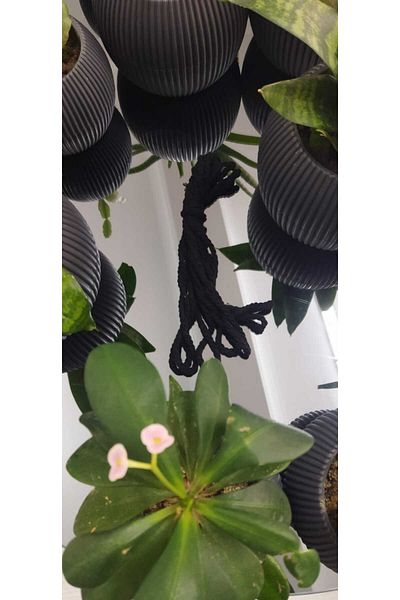 Bevella Macrame Cord Macrame 3 Twist Twisted 10 Meters (3 mm)