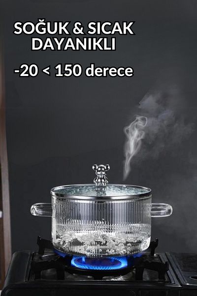 Comprox 1700cc Teddy Bear Figured Pot Heat Resistant|Borosilicate| Termisil Stove Top Glass Pot-1AD
