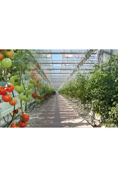 EMİRHANNALBUR SERA KAMP BAHÇE GENEL AMAÇLI PVC KAPLI ÇELİK HALAT İP 5 mm 10 MT