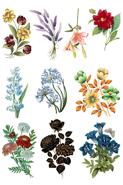 Genel Markalar Çiçekli Sticker Seti