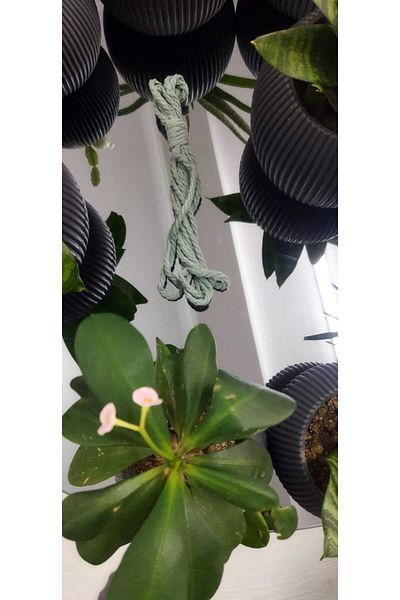 Bevella Macrame Cord Μακραμέ 3 Βοτρυλωτό 10 Μέτρα (3 mm)