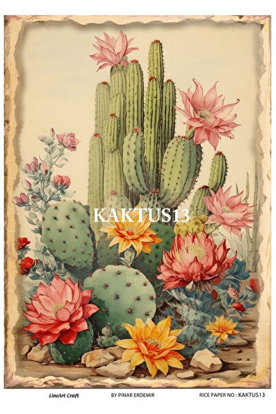 LİNEART KKTS13 نموذج زخرفة نحاسية بنمط الصبار - 30x42