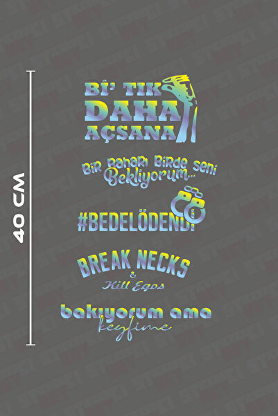 STİCKERCI BEY مجموعة ملصقات النوافذ الخلفية الهولوغرام المدفوعة للحصول على قط...