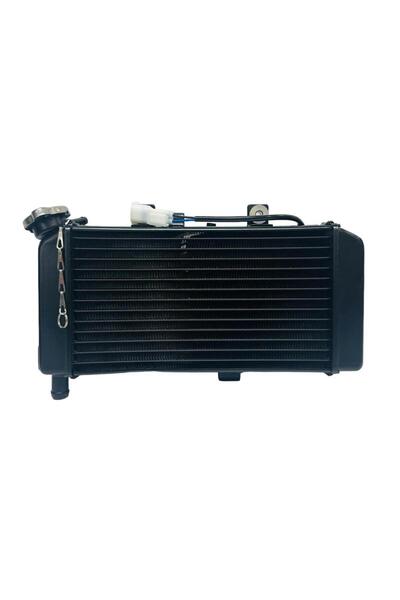 CF Moto NK 250 Radyatör Komple Eur4 (6KM0-180100)