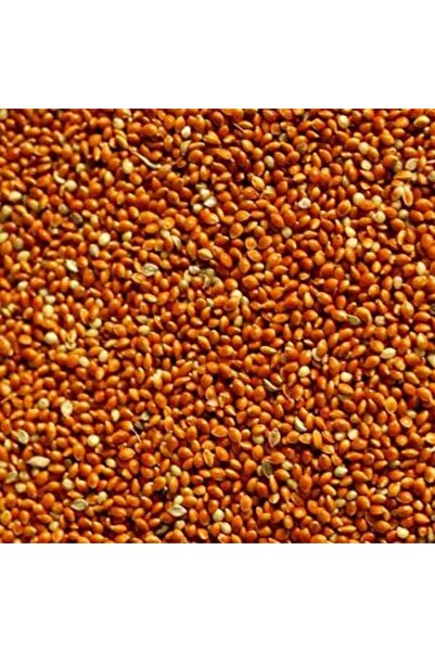 Badem Akvaryum Kızıl Darı Kırmızı Darı Kuş Yemi Dökme 500 Gr