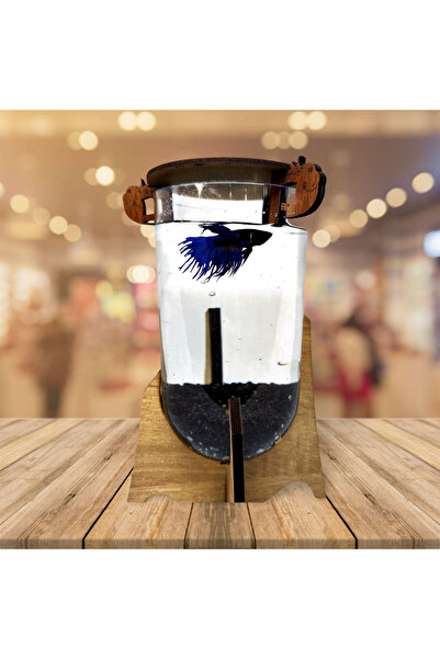 Quun Şık Beta Mini Akvaryum