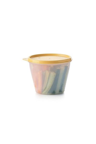 Tupperware CLASSIC STORAGE BOWL SET OF 2