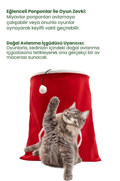 Havhav Meow Toy Set: Red Colored Cat Play Sack and Sounding Cat Play Fishing Rod
