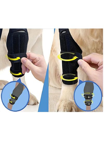 BELLFLEKSS Dog knee injury protection sleeves front and back leg rehabilitation lick recovery bandage