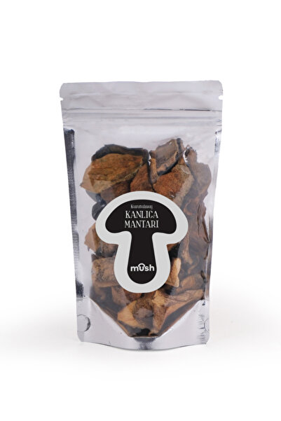 Mush Kurutulmuş Kanlıca (ÇİNTAR) Mantarı 100 gr