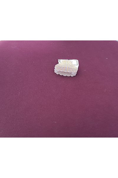 RKY SERENITY Αγκράφα με πούλιες ασημί Μύδι Sea Shell