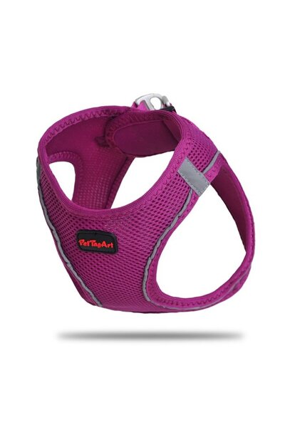 Pet Tag Art Pettagart Airmesh Purple Chest Collar