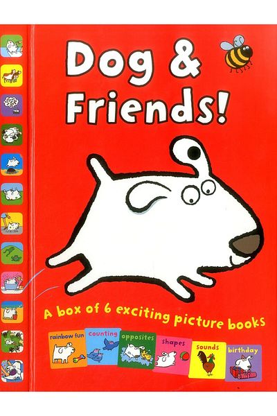 Armadillo Dog & Friends Box Of Books