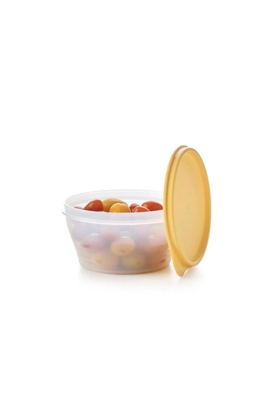 Tupperware CLASSIC STORAGE BOWL SET OF 2