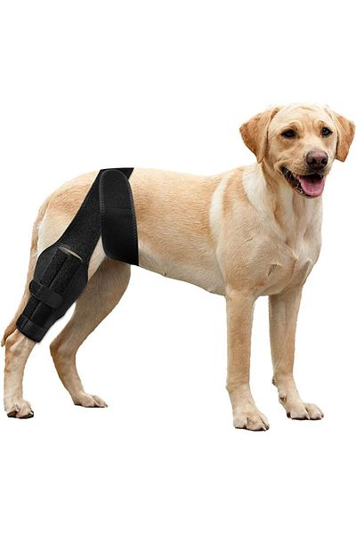 BELLFLEKSS Dog knee injury protection sleeves front and back leg rehabilitation lick recovery bandage