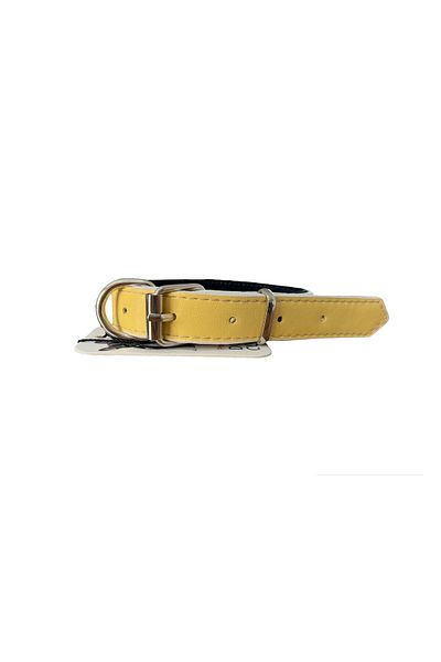 Glipet طوق كلب أصفر ذو ملمس ناعم برأس جاف مقاس 2 × 45 سم