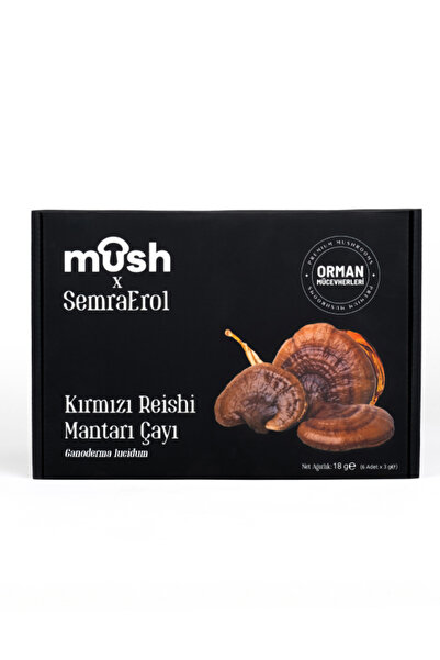 Mush Kırmızı Reishi Mantarı Çayı (Ganoderma lucidum)