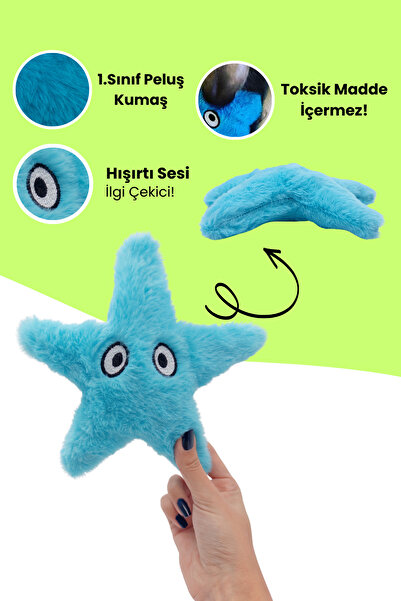 Havhav Peluş Denizyıldızı Hışırtı Sesli Köpek Oyuncağı Köpek Uyku Arkadaşı Güvenli Köpek Oyuncakları
