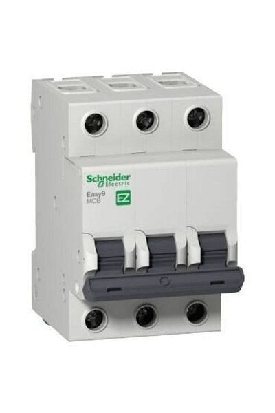 SCHNEIDER Fuse EZ9F51306 3C 6A 10KA EASY9