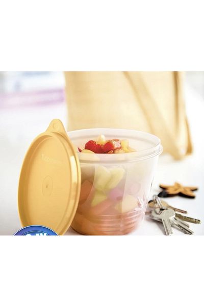 Tupperware CLASSIC STORAGE BOWL SET OF 2
