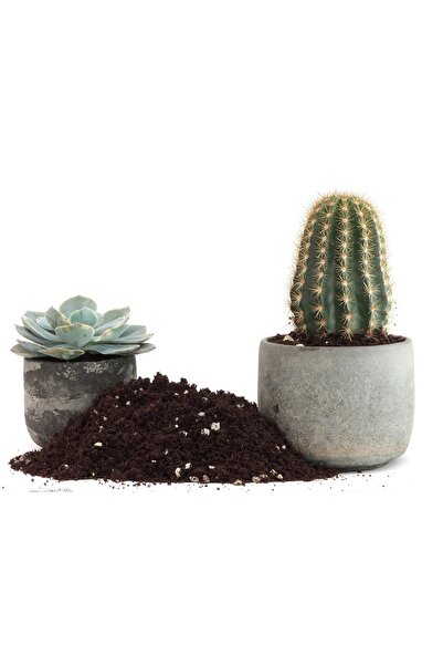 garden Moda Kaktüs Sukulent Toprağı 10 Litre Teraryum İçin Uygun Toprak Özel Karışım Bitki Toprağı