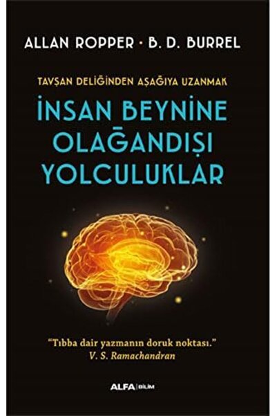 CALRADİA الرحلات غير العادية إلى الدماغ البشري