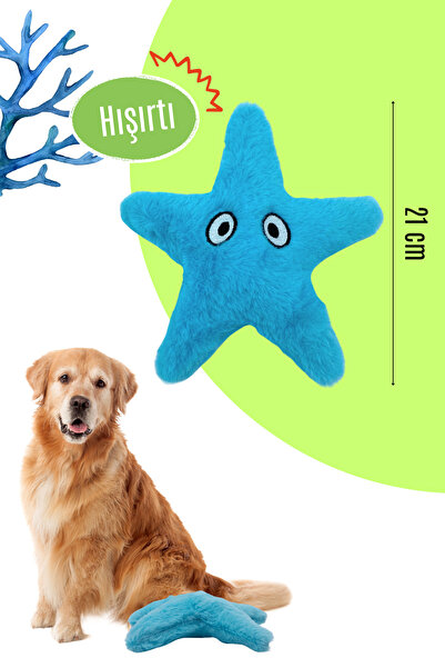 Havhav Peluş Denizyıldızı Hışırtı Sesli Köpek Oyuncağı Köpek Uyku Arkadaşı Güvenli Köpek Oyuncakları