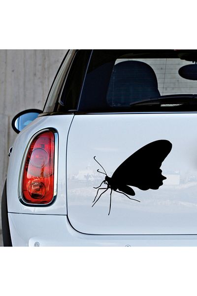 New Jargon Privind spre stânga și încercând să zboare Vedere laterală Autocolant fluture negru 35 cm