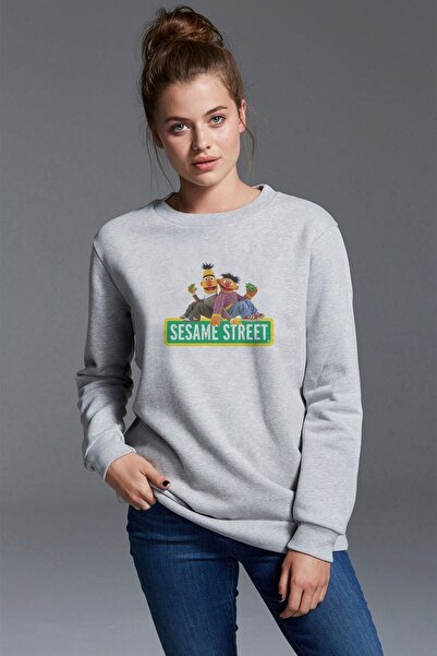 QIVI Sesame Street Printed Gray Women's Knitted Sweatshirt Long Sleeve