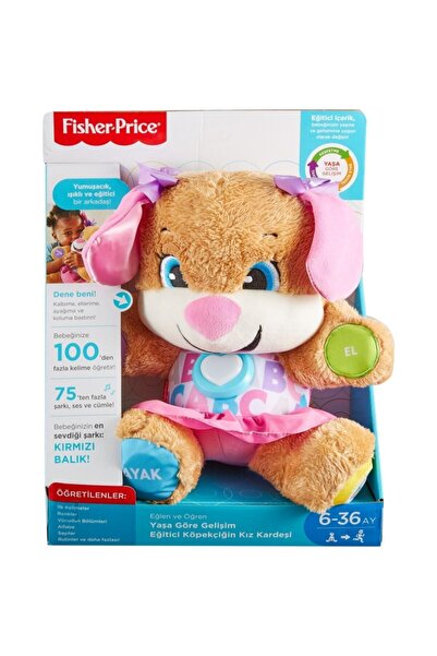 FISHER PRICE Eğlen & Öğren Yaşa Göre Gelişim Eğtici Köpekçiğin Kız Kardeşi Pembe