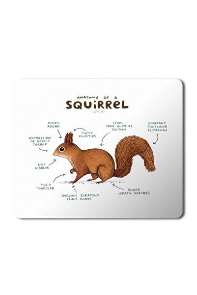 ART HEDİYE Anatomia veverii Mouse Pad Mousepad