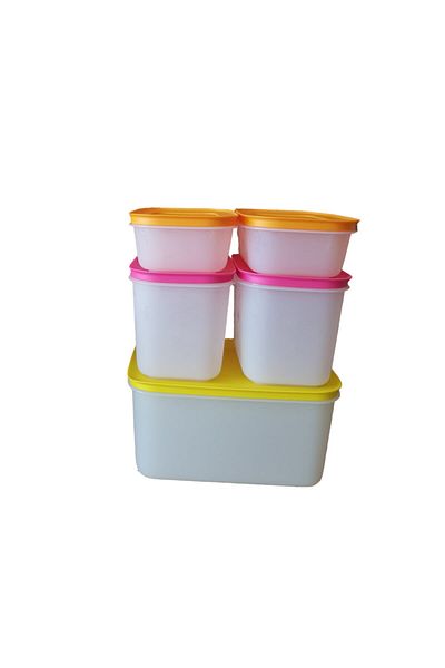 Tupperware Alaska Set of 5 (Refrigerator and Freezer Storage Container)