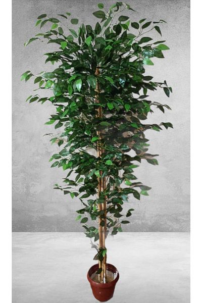 purebunny Διακοσμητικό Τεχνητό Δέντρο Benjamin Bamboo 170εκ