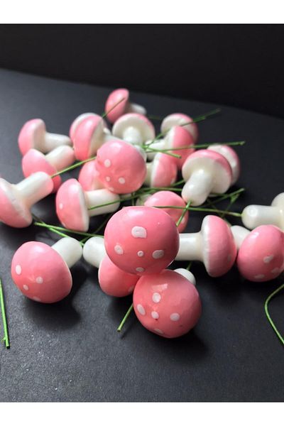 DEMİRTAŞ KALIP Pink Mushroom Medium Size Terrarium Ornament with 25 Sticks