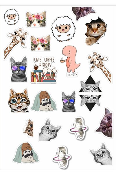 Yıldırım Reklam Kedi Sticker Seti