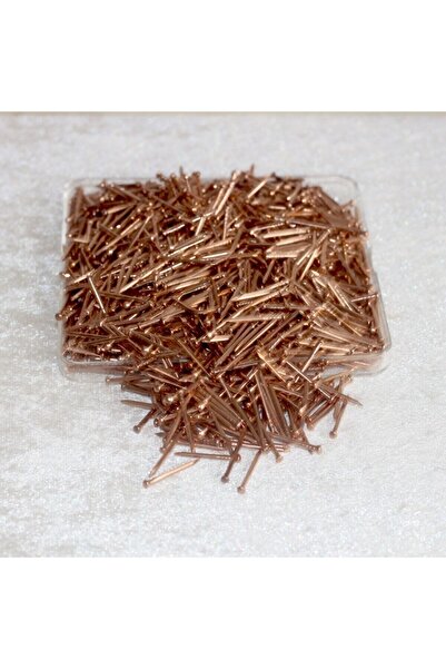 TUĞRA TABLO Filografi Çivisi Bakır Kaplama Topbaş Çivi 500gr