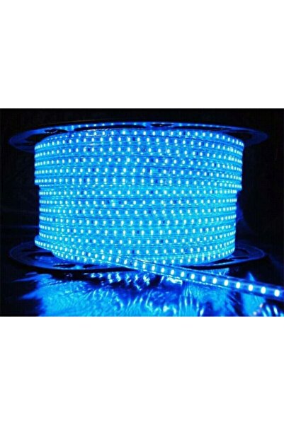 Atlantis 220 Volt Şerit 3 Çipli Hortum Şerit Led Aydınlatma + Fiş - 5mt- Mavi...