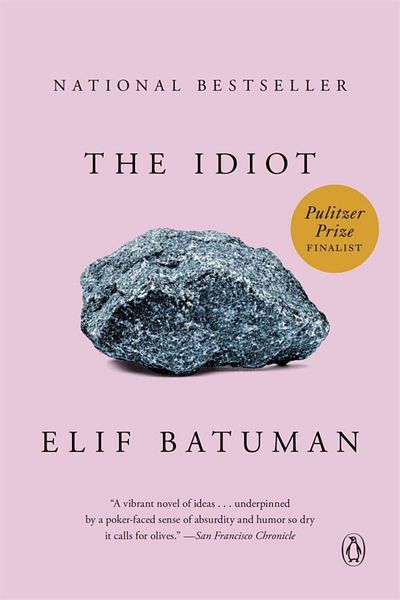 Penguin Books The Idiot