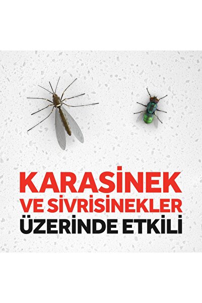 Raid Sinek Öldürücü Sprey 300 ml Sivrisinek ve Karasineklere Karşı x2