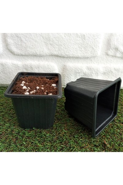 Asenya Kare Siyah Üretim Saksı 9x9x8 cm 5 Adet
