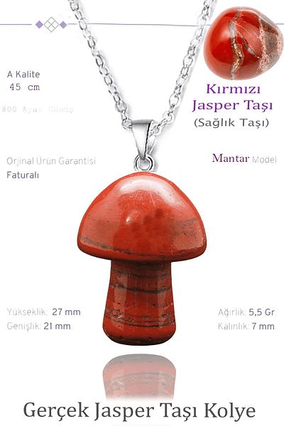 Tesbih Atölyesi Certified Mushroom Model Red Jasper Stone Necklace - Silver Apparatus